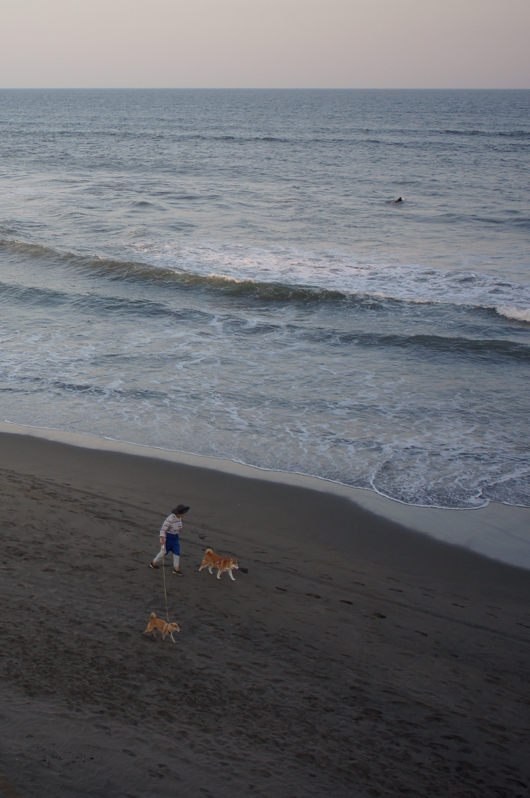 海と犬のお散歩とサーファー