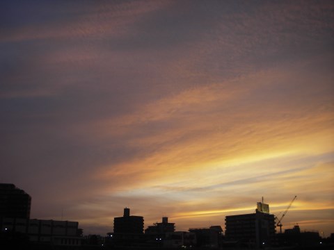 中川の夕日