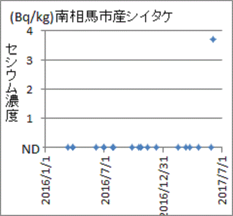 突然にセシウムが見つかった福島県南相馬市産シイタケ