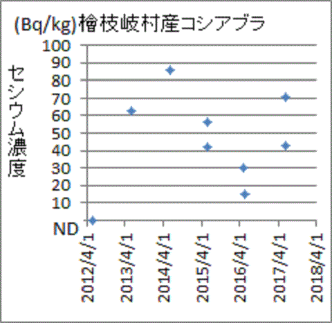 上昇したけれど基準値は超えなかった福島県檜枝岐村産コシアブラのセシウム