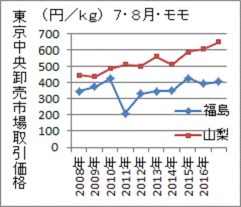 事後に低迷が続く福島産モモ価格