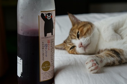 ビンは熊本小国米で作られた甘酒の空きビン