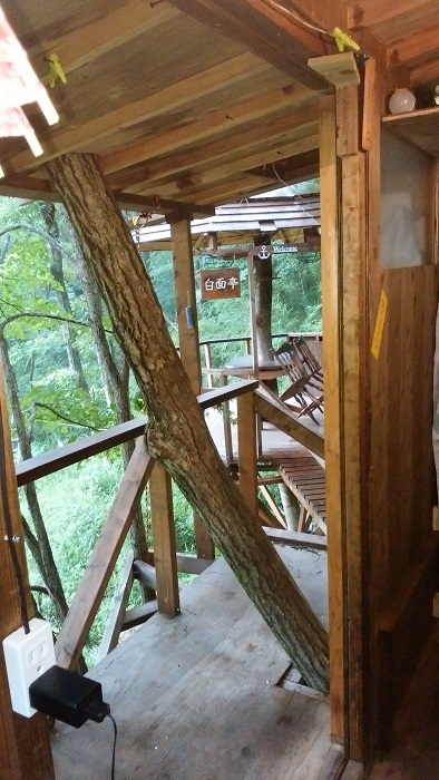 treehouse 109