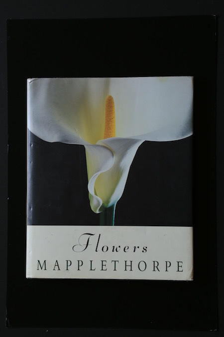 Book Music 書籍 Flowers Mapplethorpe 花 メイプルソープ Photo Diary 空が光のカンバスならば