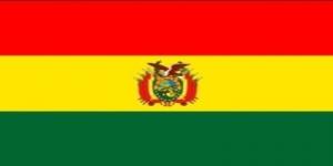 国旗:ボリビア