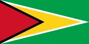 国旗:ガイアナ