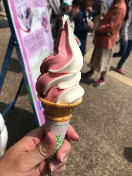 大和路へぐり(くまがしステーション) いちごソフトクリーム (6)
