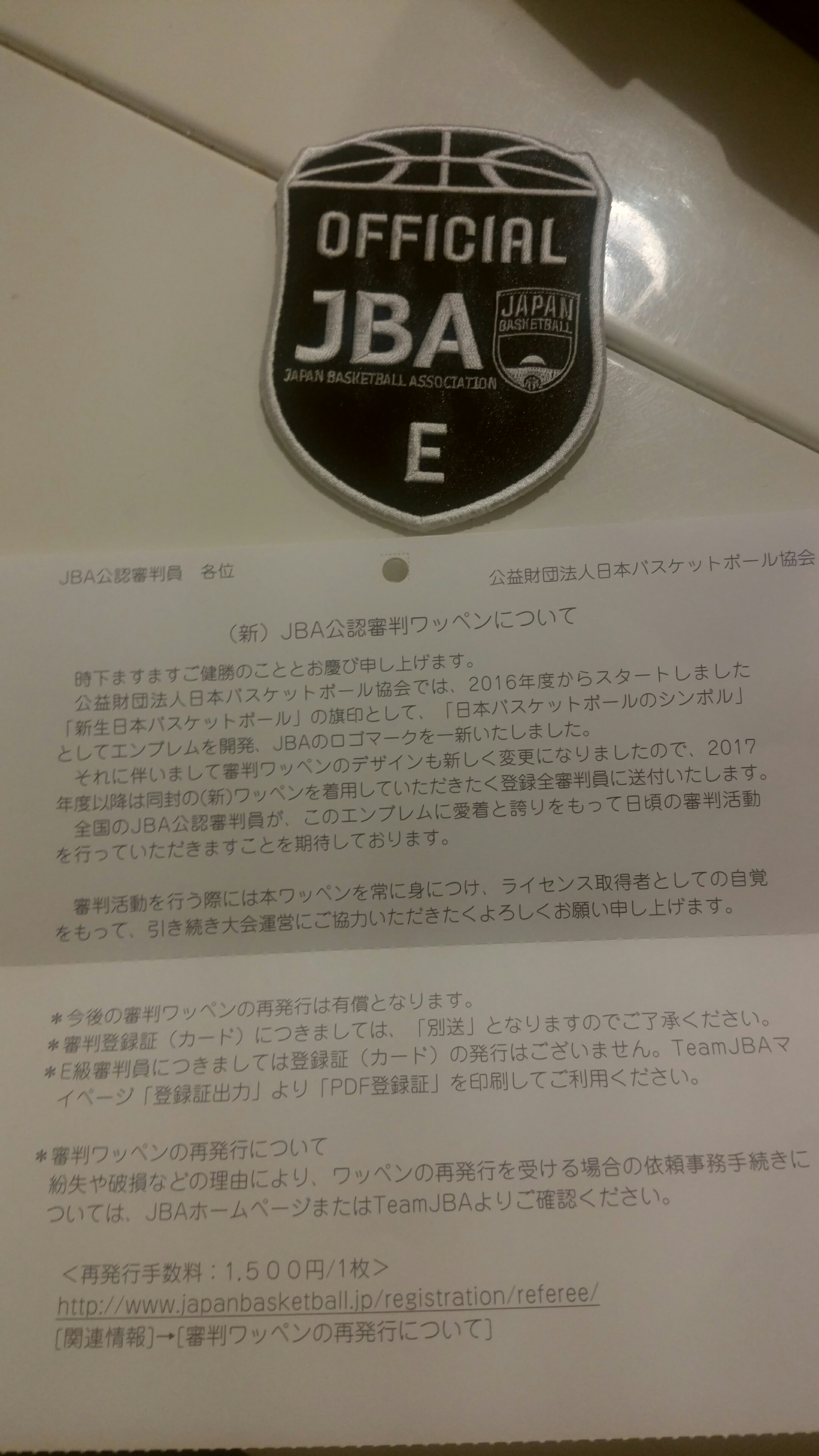 上質 JBA E級 審判ワッペン 値下げ可 cosmetologiauba.com