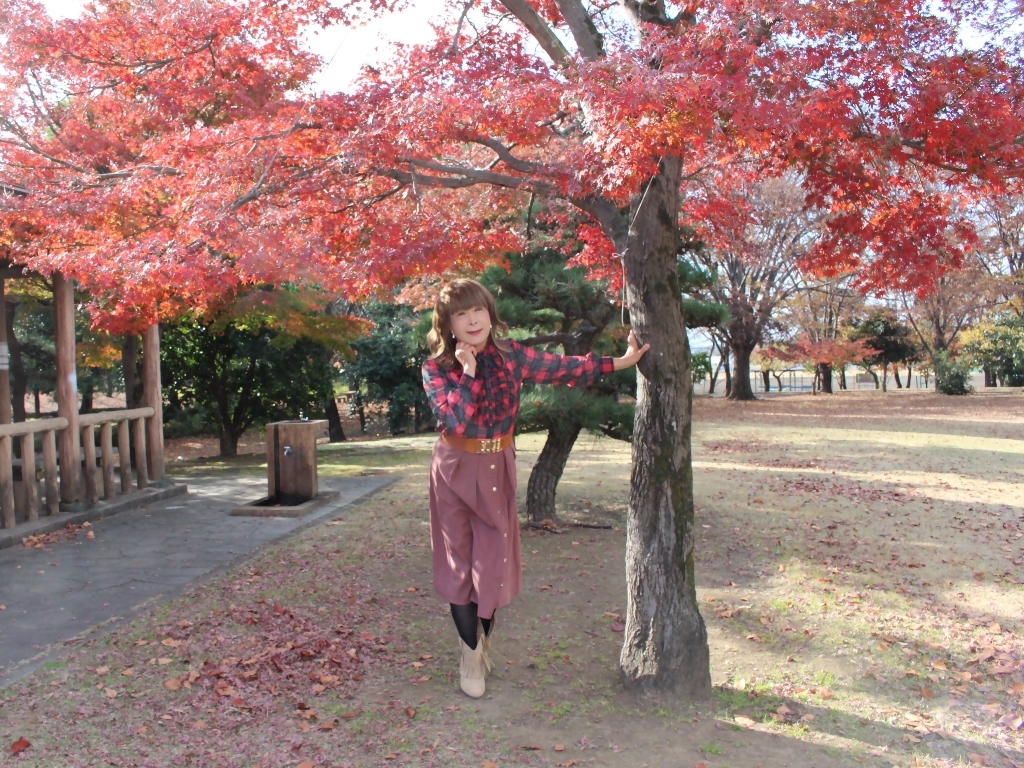 カメオピンクスカート緑赤格子ブラウスC(6)