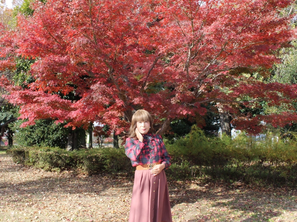 カメオピンクスカート緑赤格子ブラウスC(8)