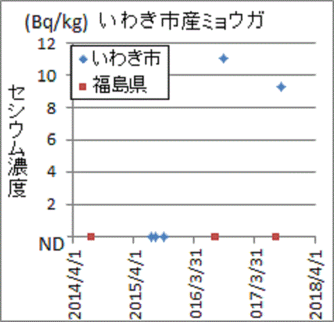 福島県検査では見つからなくともいわき市検査では見つかる福島県いわき市産ミョウガのセシウム