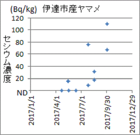 上昇する福島県伊達市産ヤマメのセシウム