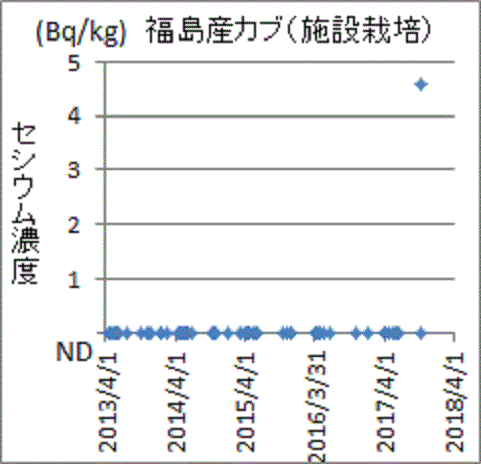 突然にセシウムが見つかった福島産施設栽培のカブ