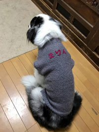まりんちゃんセーター