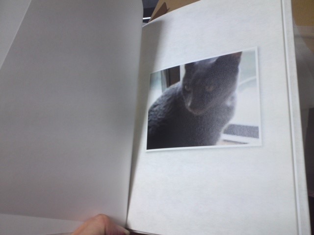 「ねこのきもち」の継続特典「うちの猫（コ）グッズ　メモリアルフォトブック」