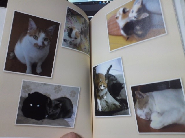 「ねこのきもち」の継続特典「うちの猫（コ）グッズ　メモリアルフォトブック」