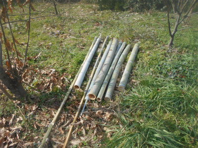 310202支柱用の竹を準備