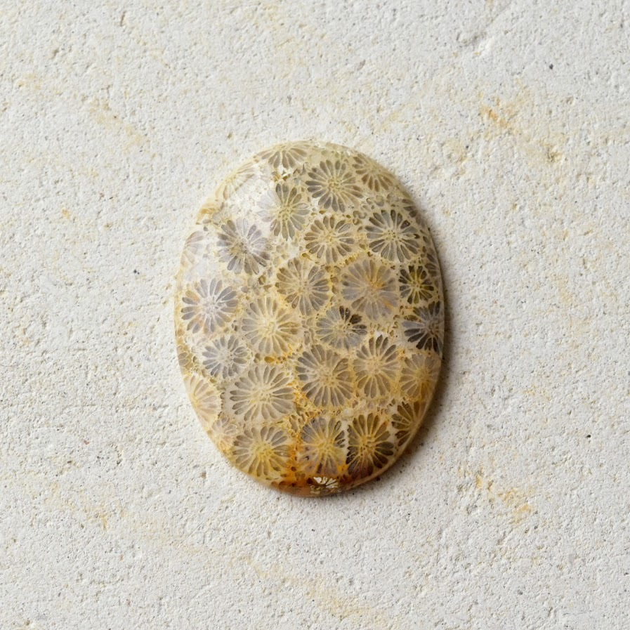 フォッシル・コーラル 日の名残り 39cts./ 化石珊瑚・ルース - 天然石