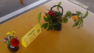 机の花⑤